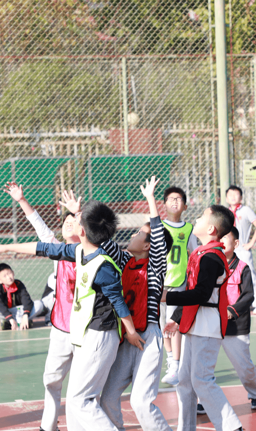 KAIYUN-塞尔维亚队观众热烈欢呼！，Ming迎来十赛季出色发挥再创辉煌时刻的简单介绍